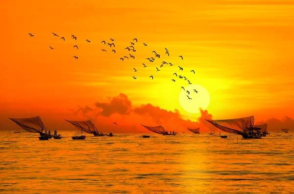 Thuyền về. Ảnh: Trịnh Thu Nguyệt.