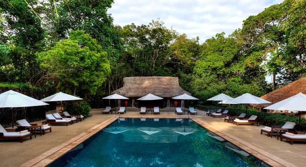Ảnh: Thedatai Ảnh: Thedatai