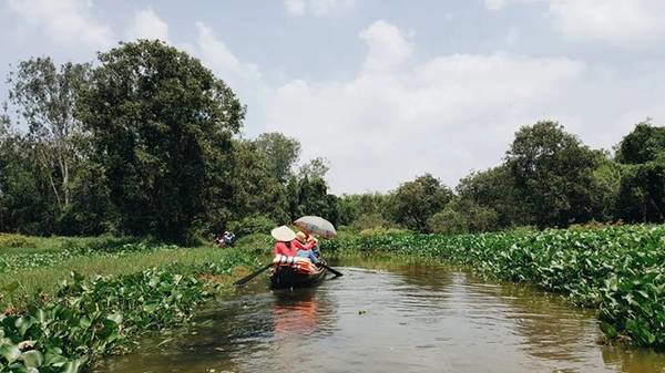 Vẻ đẹp xanh mướt của rừng tràm Gáo Giồng. Ảnh: Trần Hùng Cường.