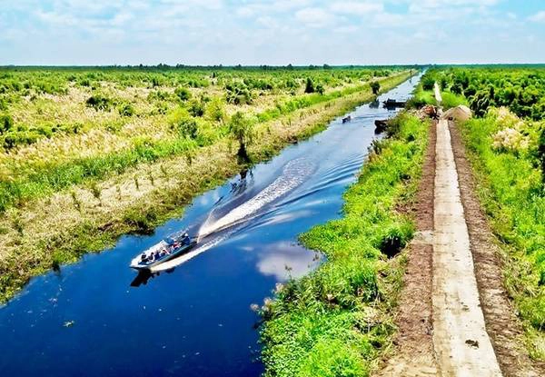 Sắc xanh bát ngát của những cánh rừng tràm và sắc trắng hoang dã của cánh đồng cỏ lau ở vườn quốc gia U Minh Thượng. Ảnh: Bùi Chiên.