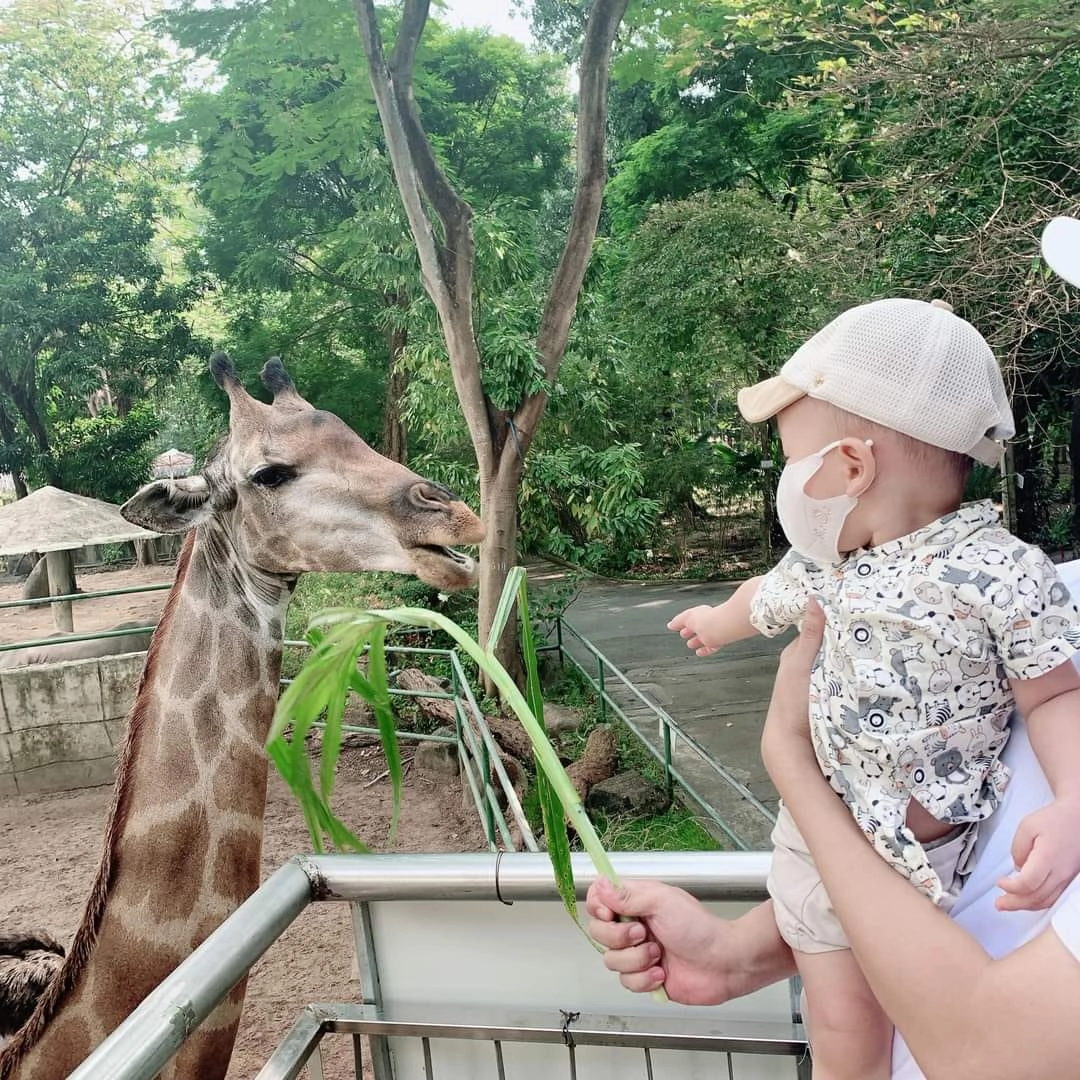 Ảnh: FB Thảo Cầm Viên - Sài gòn Zoo & Botanical Gardens