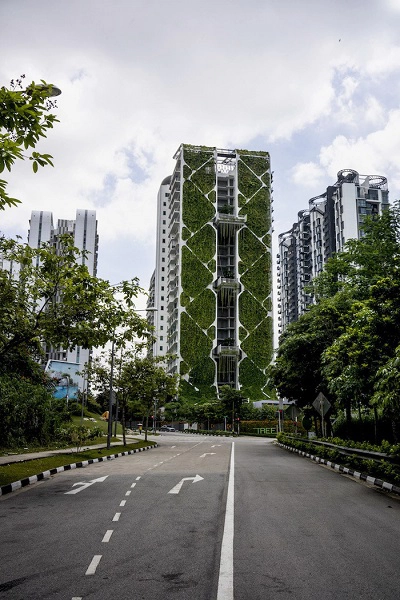 Treehouse ở đại lộ Chestnut - Ảnh: Suzanne Lee