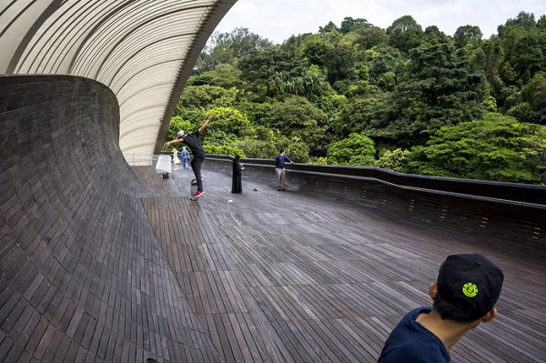 Cầu đi bộ Henderson Waves cao nhất ở Singapore, được thiết kế dựa trên hình dáng con sóng - Ảnh: Suzanne Lee