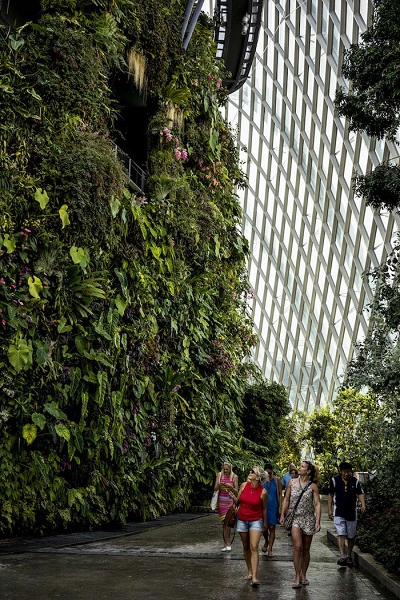 Cloud Forest ở Gardens by the Bay - Ảnh: Suzanne Lee