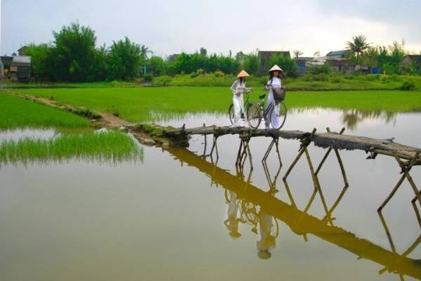 Du lich Viet Nam - Nón lá Việt Nam