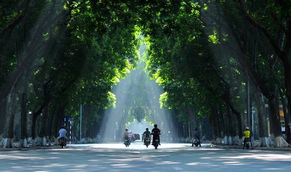 Đường Phan Đình Phùng bình yên buổi sớm. Ảnh: Giang Trịnh.