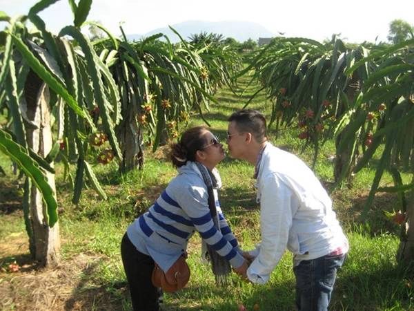 Nụ hôn lãng mạn trong vườn thanh long ở Bình Thuận của một đôi bạn trẻ. Nụ hôn lãng mạn trong vườn thanh long ở Bình Thuận của một đôi bạn trẻ.