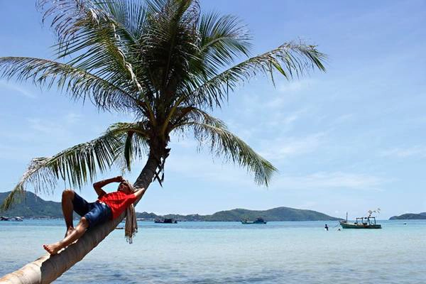 Có dịp được ghé thăm cây dừa trên quần đảo Nam Du, Công Phan có hình ảnh vắt vẻo thú vị. Có dịp được ghé thăm cây dừa trên quần đảo Nam Du, Công Phan có hình ảnh vắt vẻo thú vị.