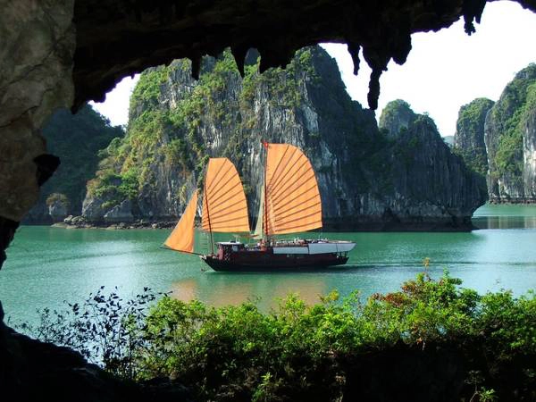 vinhhalong