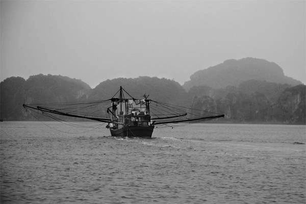 Lênh đênh trên sóng nước cho bạn cảm giác bản thân như một họa sĩ đang săn tìm màu sắc cho bức tranh của mình.