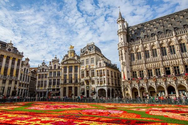 Quảng trường Grand Place: Đây là một trong những quảng trường đẹp nhất châu Âu, với nhiều công trình cổ, nhà hàng và quán cà phê đông khách. Di sản văn hóa thế giới này còn được trang trí bằng một thảm hoa khổng lồ vào tháng 8 (2 năm một lần) và là điểm đến không thể bỏ qua khi tới Brussels. Ảnh: Thousandwonders. Quảng trường Grand Place: Đây là một trong những quảng trường đẹp nhất châu Âu, với nhiều công trình cổ, nhà hàng và quán cà phê đông khách. Di sản văn hóa thế giới này còn được trang trí bằng một thảm hoa khổng lồ vào tháng 8 (2 năm một lần) và là điểm đến không thể bỏ qua khi tới Brussels. Ảnh: Thousandwonders.