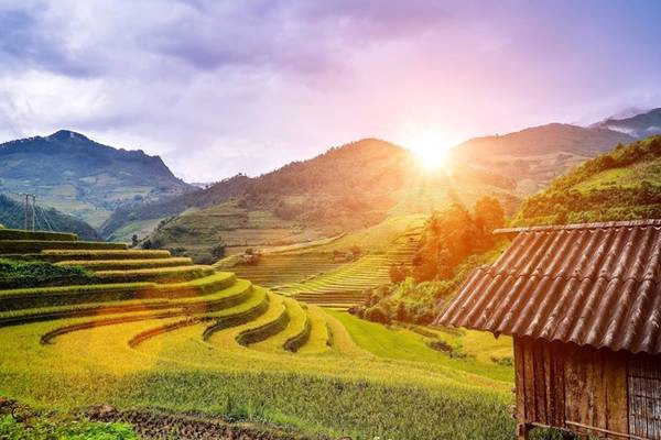 Ruộng bậc thang Mù Căng Chải, Yên Bái, rực rỡ trong ánh nắng ban mai. Ruộng bậc thang Mù Căng Chải, Yên Bái, rực rỡ trong ánh nắng ban mai.