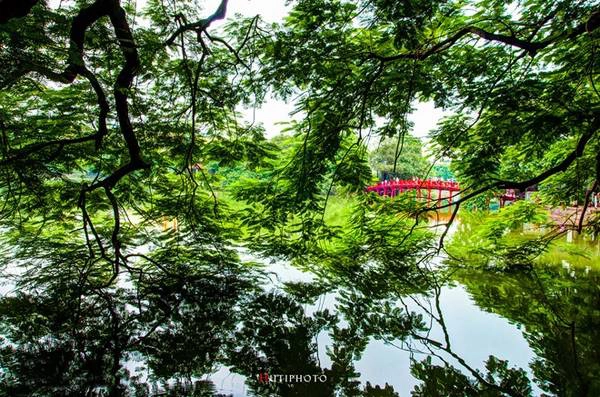 Cầu Thê Húc (hồ Gươm, Hà Nội) yên bình trong một sáng mùa thu. Cầu Thê Húc (hồ Gươm, Hà Nội) yên bình trong một sáng mùa thu.