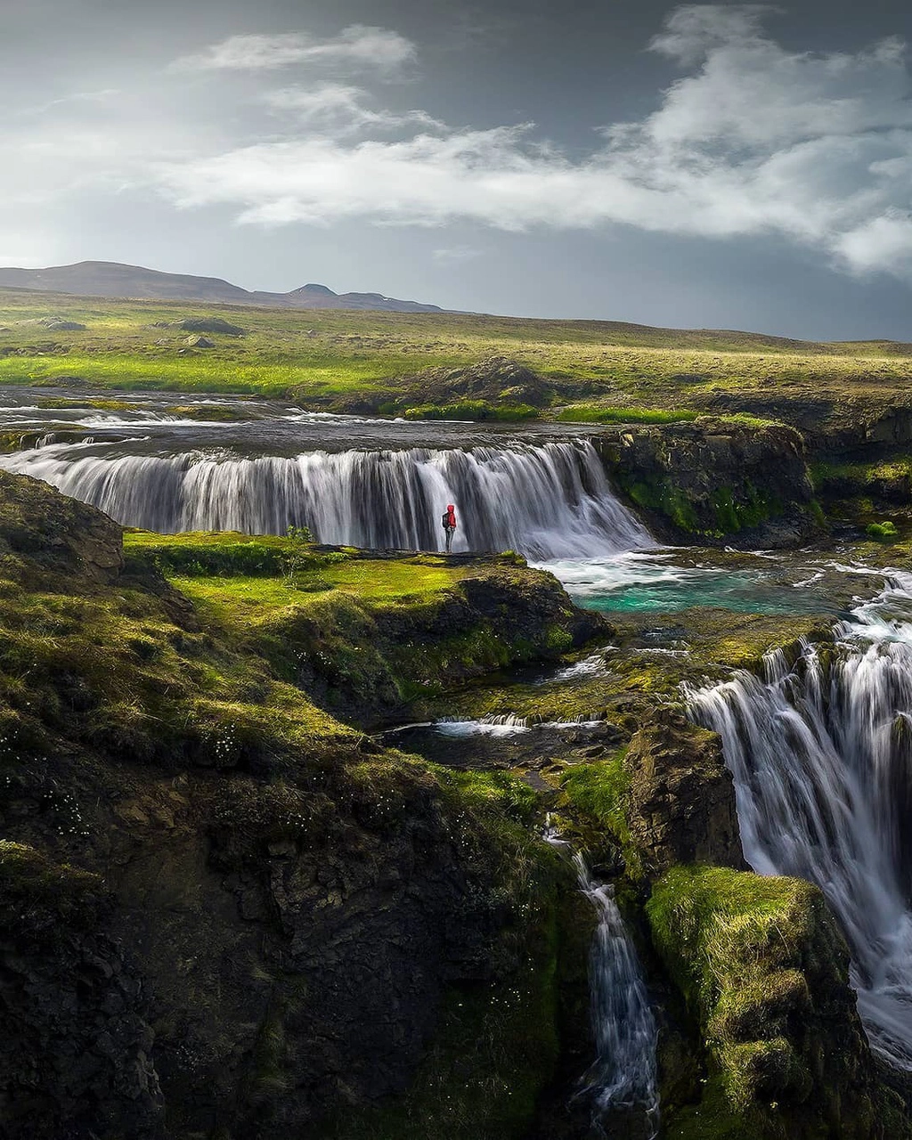 Theo giáo sư sinh thái học của đại học Iceland, Ingibjorg Svala Jonsdottir, có khoảng 606 loại rêu khác nhau được tìm thấy ở quốc đảo này. Loài phổ biến nhất, Woolly Fringe Moss thường được gọi đơn giản là rêu Iceland, "thống trị" các cánh đồng dung nham trên khắp miền Nam và Tây của hòn đảo.