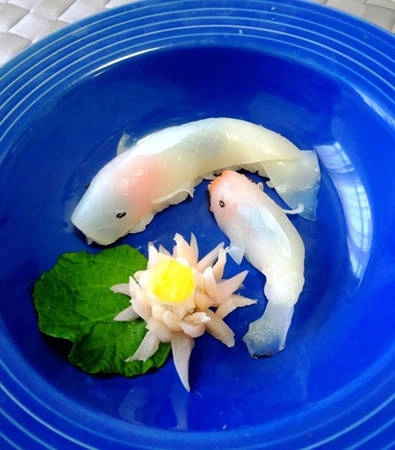 Cặp cá bơi quanh khóm hoa súng. Hiện tại một phần sushi cá koi được bán với giá khoảng 800 yên (gần 150.000 đồng). Cặp cá bơi quanh khóm hoa súng. Hiện tại một phần sushi cá koi được bán với giá khoảng 800 yên (gần 150.000 đồng).