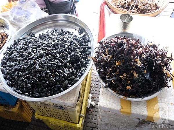 Cũng giống như Thái Lan, Campuchia có khá nhiều món ăn chế biến từ côn trùng như bọ, bò cạp. Chúng được chiên giòn, bày trên khay, hoặc xâu thành xiên, tùy từng nơi. Món này không đắt nhưng không dễ để thưởng thức. Cũng giống như Thái Lan, Campuchia có khá nhiều món ăn chế biến từ côn trùng như bọ, bò cạp. Chúng được chiên giòn, bày trên khay, hoặc xâu thành xiên, tùy từng nơi. Món này không đắt nhưng không dễ để thưởng thức.