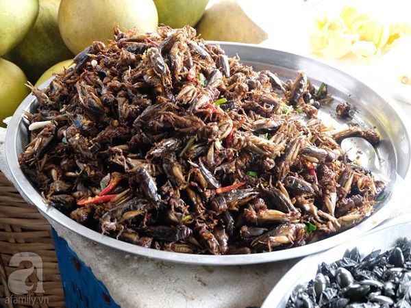 Một khay đầy ắp châu chấu. So với nhiều loại côn trùng khác, châu chấu đã thuộc dạng dễ ăn, nhưng nó vẫn là thách thức với nhiều người. Ở Siem Reap, các hàng bán côn trùng phải đề biển bằng tiếng Anh, nói rằng, nếu chỉ chụp ảnh, sẽ phải trả 1 đô la, còn nếu mua bất cứ thứ gì, bạn được chụp ảnh miễn phí. Một khay đầy ắp châu chấu. So với nhiều loại côn trùng khác, châu chấu đã thuộc dạng dễ ăn, nhưng nó vẫn là thách thức với nhiều người. Ở Siem Reap, các hàng bán côn trùng phải đề biển bằng tiếng Anh, nói rằng, nếu chỉ chụp ảnh, sẽ phải trả 1 đô la, còn nếu mua bất cứ thứ gì, bạn được chụp ảnh miễn phí.