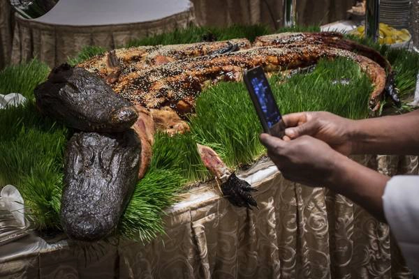 Những chú cá sấu nướng được phục vụ tại Explorers Club Dinner lần thứ 110 được tổ chức tại khách sạn Waldorf Astoria ở New York. Ảnh: Andrew Kelly / Reuters Những chú cá sấu nướng được phục vụ tại Explorers Club Dinner lần thứ 110 được tổ chức tại khách sạn Waldorf Astoria ở New York. Ảnh: Andrew Kelly / Reuters