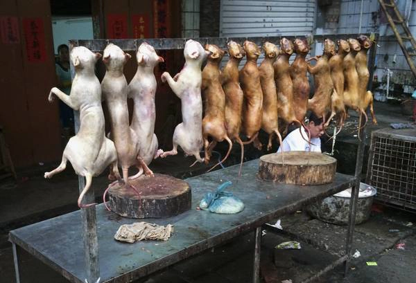 Lễ hội thịt chó diễn ra thường niên tại Ngọc Lâm, Quảng Tây, Trung Quốc gây ra nhiều tranh cãi bởi những người yêu động vật trên toàn thế giới. Ảnh: China Stringer Network / Reuters Lễ hội thịt chó diễn ra thường niên tại Ngọc Lâm, Quảng Tây, Trung Quốc gây ra nhiều tranh cãi bởi những người yêu động vật trên toàn thế giới. Ảnh: China Stringer Network / Reuters
