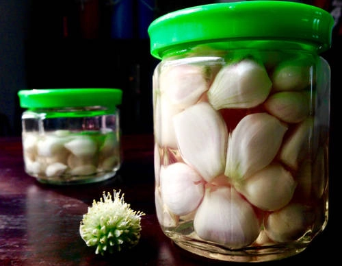 Hành muối được xem là thứ gia vị không thể thiếu trong những ngày Tết. Hành muối được xem là thứ gia vị không thể thiếu trong những ngày Tết.