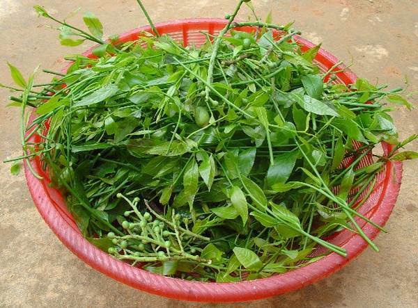 nhung-mon-an-ngon-chi-co-o-ha-tay-xua-ivivu-3