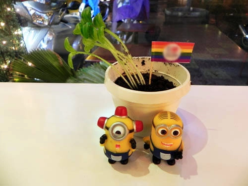 Kem chậu cây: Thoạt đầu mới nhìn qua, bạn có thể sẽ nhầm lẫn đây là một chậu cây trang trí cho cửa hàng, chứ khó lòng nghĩ đó là một phần kem phục vụ cho thực khách. Đó là một chậu cây thực sự với phần kem ở trong có màu nâu tơi xốp như đất, một nhánh cây mọc lên và chiếc lá xanh tươi tắn. Khi ăn, bạn sẽ cảm nhận được vị ngọt lẫn mát lạnh của kem chocolate phía dưới, bên trên là mùi thơm dễ chịu và đắng nhẹ của bánh oreon. Các công đoạn chế biến món này không mất quá nhiều thời gian, mà chỉ tầm 5 phút. Giá một chậu cây là 45.000 đồng. Kem chậu cây: Thoạt đầu mới nhìn qua, bạn có thể sẽ nhầm lẫn đây là một chậu cây trang trí cho cửa hàng, chứ khó lòng nghĩ đó là một phần kem phục vụ cho thực khách. Đó là một chậu cây thực sự với phần kem ở trong có màu nâu tơi xốp như đất, một nhánh cây mọc lên và chiếc lá xanh tươi tắn. Khi ăn, bạn sẽ cảm nhận được vị ngọt lẫn mát lạnh của kem chocolate phía dưới, bên trên là mùi thơm dễ chịu và đắng nhẹ của bánh oreon. Các công đoạn chế biến món này không mất quá nhiều thời gian, mà chỉ tầm 5 phút. Giá một chậu cây là 45.000 đồng.