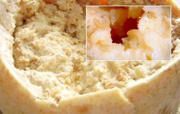 Phô mai giòi Casu Marzu (Sardinia, Italy) Phô mai giòi Casu Marzu (Sardinia, Italy)