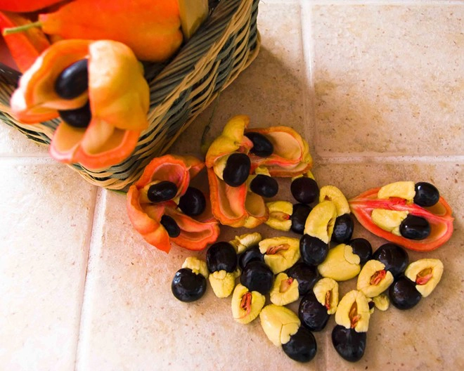 Hạt Ackee (Jamaica) Hạt Ackee (Jamaica)