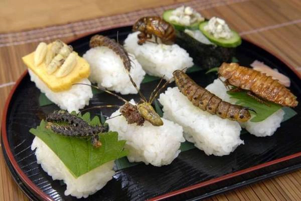 Sushi côn trùng: Thay vì thịt cá như thông thường, món sushi này được dùng kèm với gián, sâu và các loại ấu trùng khác. Sushi côn trùng: Thay vì thịt cá như thông thường, món sushi này được dùng kèm với gián, sâu và các loại ấu trùng khác.