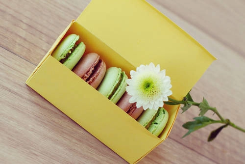 Những chiếc bánh Macarons ngọt ngào mang theo tình yêu của nước Pháp.