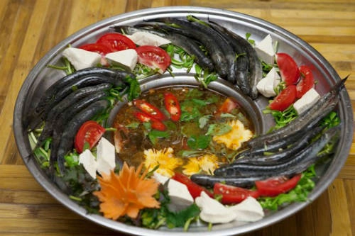Những con cá kèo còn tươi sống, thả vào nồi nước lẩu, ăn vẫn có vị đắng của mật. Ảnh: giadinhhaisan