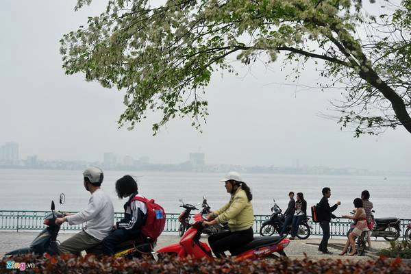 Nhiều người đi xa, khi trở về thủ đô đều muốn được thong dong đi xe qua đây để cảm nhận hơi thở cuộc sống con người Hà Nội. Vào mùa đông, hồ Tây có những nét đẹp riêng, lạnh nhưng không làm lòng người giá rét. Nhiều người đi xa, khi trở về thủ đô đều muốn được thong dong đi xe qua đây để cảm nhận hơi thở cuộc sống con người Hà Nội. Vào mùa đông, hồ Tây có những nét đẹp riêng, lạnh nhưng không làm lòng người giá rét.