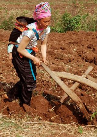 Kể từ khi bước chân về nhà chồng, Mỷ phải lo “kéo cày trả nợ”.