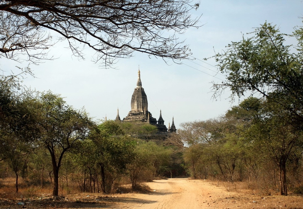 Ở Bagan, lý tưởng nhất là thuê một chiếc xe đạp để thong dong trên các con đường mòn