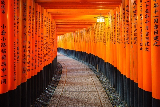 Điểm đặc biệt của nơi đây là lối đi lấp kín bởi 1.000 chiếc cổng Torii. Trên những cánh cổng đều đề tên người, tổ chức và công ty đã tặng chúng cho ngôi đền. Một chuyến đi bộ lên đỉnh núi và trở xuống hết khoảng 2 - 3 tiếng. Ảnh: Ikunl/ Envato Elements.