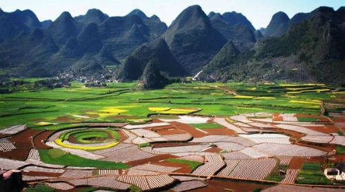 Cỏ đổi hoa sẽ không có tác dụng nếu nó chỉ được dùng một mình. Muốn có công dụng, nó phải được kết hợp với nhiều loại thảo mộc khác. Ảnh: Sina. Cỏ đổi hoa sẽ không có tác dụng nếu nó chỉ được dùng một mình. Muốn có công dụng, nó phải được kết hợp với nhiều loại thảo mộc khác. Ảnh: Sina.