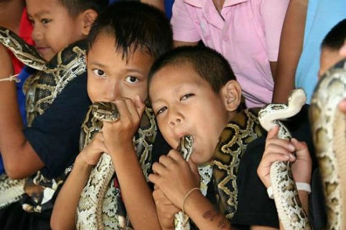 Du khách đến với làng cho biết, họ vừa thích thú lại vừa lo lắng khi xem các buổi biểu diễn giữa người và rắn. Ảnh: Odd. Du khách đến với làng cho biết, họ vừa thích thú lại vừa lo lắng khi xem các buổi biểu diễn giữa người và rắn. Ảnh: Odd.