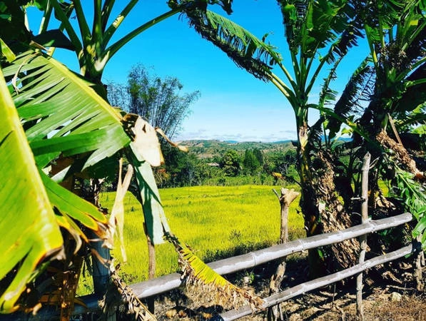 Làng K’Tu là làng văn hóa cổ nhất tại tỉnh Kon Tum, lưu giữ nét đẹp nguyên sơ của núi non hùng vĩ, con người Tây Nguyên mộc mạc. Làng K’Tu hàng năm vẫn thu hút nhiều du khách yêu thích khám phá. Ảnh: Aliceaumont/Instagram. Làng K’Tu là làng văn hóa cổ nhất tại tỉnh Kon Tum, lưu giữ nét đẹp nguyên sơ của núi non hùng vĩ, con người Tây Nguyên mộc mạc. Làng K’Tu hàng năm vẫn thu hút nhiều du khách yêu thích khám phá. Ảnh: Aliceaumont/Instagram.