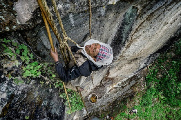 Những người làm nghề như Mauli giờ không còn nhiều nữa. Ảnh: NatGeo.