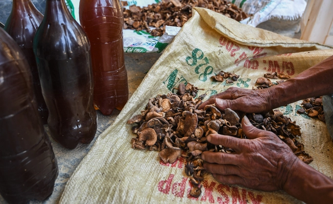 Dãy núi Ky Quan San mang đến thu nhập bằng nhiều cách cho những người Mông sống tại đây. Ngoài làm nông hay porter, người dân còn đi hái nấm, lấy mật ong, phong lan rừng… để mang xuống chợ phiên hoặc bán cho thương lái dưới xuôi.