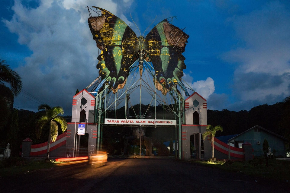 Người ta cho dựng biểu tượng bướm papilio blumei trên cổng vào khu du lịch sinh thái Bantimurung, trong vườn quốc gia Bantimurung Bulusaraung trên đảo Sulawesi. Giữa thế kỷ 19, nhà tự nhiên học người Anh Alfred Russel Wallace từng đến làng Bantimurung và ngỡ ngàng trước "vương quốc bướm" rực rỡ ở đây. Song, khu vực này hiện phải đối mặt với nạn săn trộm bướm. Người ta cho dựng biểu tượng bướm papilio blumei trên cổng vào khu du lịch sinh thái Bantimurung, trong vườn quốc gia Bantimurung Bulusaraung trên đảo Sulawesi. Giữa thế kỷ 19, nhà tự nhiên học người Anh Alfred Russel Wallace từng đến làng Bantimurung và ngỡ ngàng trước "vương quốc bướm" rực rỡ ở đây. Song, khu vực này hiện phải đối mặt với nạn săn trộm bướm.