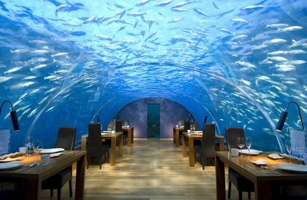 Nhà hàng dưới đáy biển Ithaa ở Alif Dhaal Atoll, Maldives. Nhà hàng nằm sâu dưới biển 5m cho phép du khách khám phá đời sống kỳ thú của các sinh vật biển - Ảnh: BOREDPANDA