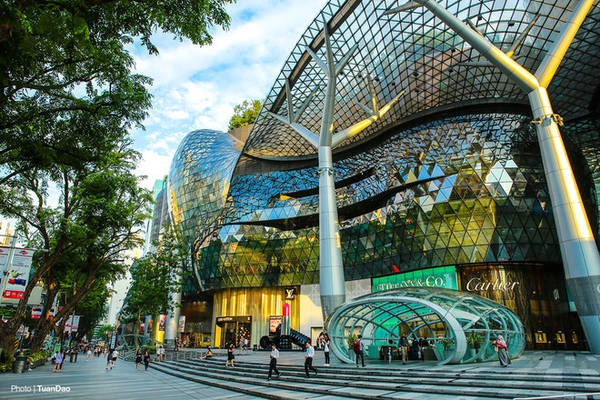 Đại lộ Orchard là khu mua sắm nổi tiếng tại Singapore với hàng loạt các trung tâm thương mại lớn hai bên đường. Đây là nơi tập trung hầu hết các nhãn hiệu nổi tiếng trên thế giới. Ngoài các trung tâm ở hai bên đại lộ, khi bước xuống dưới các tòa nhà, du khách cũng lạc trong mê cung các cửa hàng thời trang nổi tiếng thế giới được xây dựng ngầm dưới lòng đất. Đại lộ Orchard là khu mua sắm nổi tiếng tại Singapore với hàng loạt các trung tâm thương mại lớn hai bên đường. Đây là nơi tập trung hầu hết các nhãn hiệu nổi tiếng trên thế giới. Ngoài các trung tâm ở hai bên đại lộ, khi bước xuống dưới các tòa nhà, du khách cũng lạc trong mê cung các cửa hàng thời trang nổi tiếng thế giới được xây dựng ngầm dưới lòng đất.
