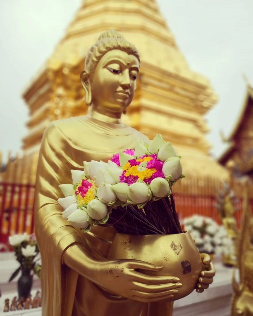 nhung-noi-nhat-dinh-phai-ghe-khi-du-lich-chiang-mai-ivivu-10