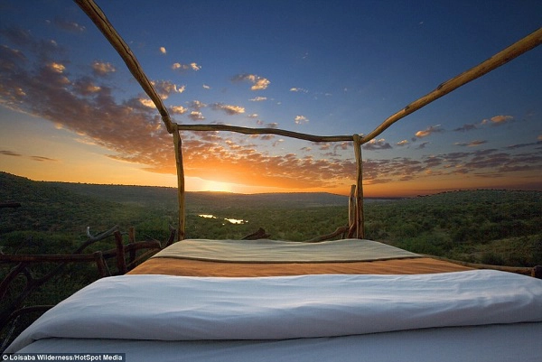 Trải nghiệm ngủ trên giường "Star Bed" tại khu bảo tồn Loisaba, ở Kenya được nhiều du khách lựa chọn. Đây là khu bảo tồn động vật hoang dã rộng 226,6 km2. Tới đây, khách sẽ được ngủ trên giường làm bằng thủ công dưới bầu trời đầy sao của châu Phi. Ảnh: Daily Mail.