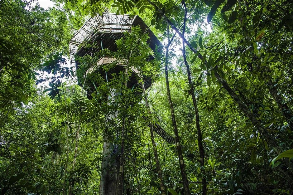 Finca Bellavista, Costa Rica: Ở khu bảo tồn thiên nhiên Costa Rica, du khách có cơ hội nghỉ ngơi tại ngôi nhà trên cây nằm ở độ cao hơn 27 m, cung cấp chỗ ở tối đa cho 6 người. Bên cạnh đó, xung quanh ngôi nhà còn có các cây cầu treo, giúp du khách khám phá cảnh quan của khu rừng cũng như cuộc sống của các loài động vật hoang dã xung quanh. Ảnh: Finca Bellavista. Finca Bellavista, Costa Rica: Ở khu bảo tồn thiên nhiên Costa Rica, du khách có cơ hội nghỉ ngơi tại ngôi nhà trên cây nằm ở độ cao hơn 27 m, cung cấp chỗ ở tối đa cho 6 người. Bên cạnh đó, xung quanh ngôi nhà còn có các cây cầu treo, giúp du khách khám phá cảnh quan của khu rừng cũng như cuộc sống của các loài động vật hoang dã xung quanh. Ảnh: Finca Bellavista.