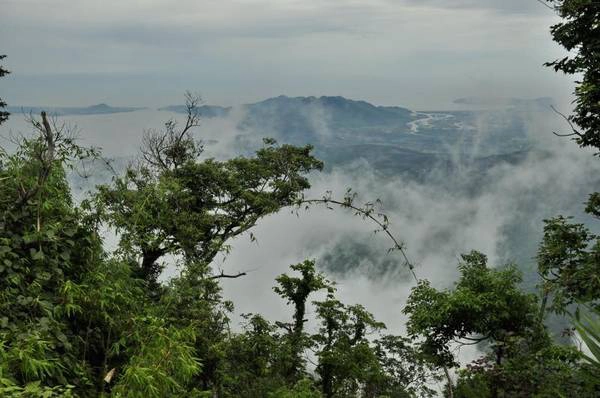 Núi Bạch Mã mở ảo trong màn sương sớm. Ảnh: phuot.vn