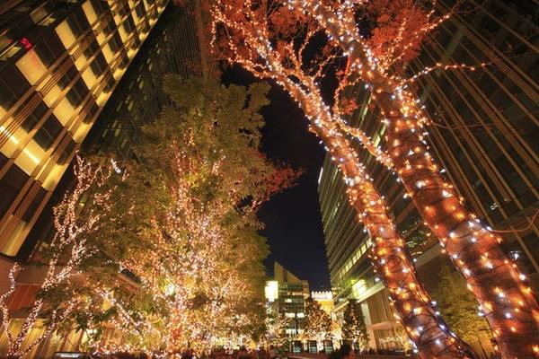 Tokyo, Nhật Bản: Đến với Tokyo, bạn sẽ bị mê hoặc bởi các đường hầm ánh sáng tại Kobe Luminarie, bức tượng khổng lồ trên đường thánh Nicholas hay những cây thông thay đổi ánh áng tại Keiyaki Zaka. Khi đến đồi Roppongi, bạn nhớ ghé qua chợ giáng sinh Old World để thưởng thức ẩm thực Đức (bia, rượu vang, bánh quy xoắn, xúc xích, sườn cốt lết) và đồ trang trí theo phong cách châu Âu. Tokyo, Nhật Bản: Đến với Tokyo, bạn sẽ bị mê hoặc bởi các đường hầm ánh sáng tại Kobe Luminarie, bức tượng khổng lồ trên đường thánh Nicholas hay những cây thông thay đổi ánh áng tại Keiyaki Zaka. Khi đến đồi Roppongi, bạn nhớ ghé qua chợ giáng sinh Old World để thưởng thức ẩm thực Đức (bia, rượu vang, bánh quy xoắn, xúc xích, sườn cốt lết) và đồ trang trí theo phong cách châu Âu.