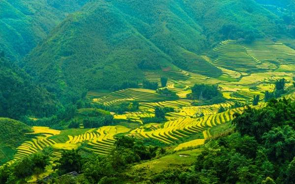 Ruộng bậc thang Sa Pa đang làm nên một sản phẩm du lịch độc đáo cho Việt Nam, nhiều lần lọt vào danh sách những ruộng bậc thang kỳ vĩ của châu Á của thế giới, do các tạp chí du lịch bình chọn. Ảnh: Trần Việt Anh. Ruộng bậc thang Sa Pa đang làm nên một sản phẩm du lịch độc đáo cho Việt Nam, nhiều lần lọt vào danh sách những ruộng bậc thang kỳ vĩ của châu Á của thế giới, do các tạp chí du lịch bình chọn. Ảnh: Trần Việt Anh.