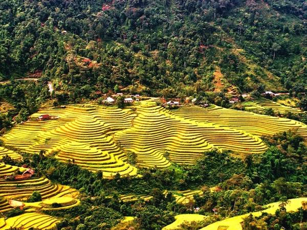 Nhắc đến ruộng bậc thang Hoàng Su Phì không thể không nói đến ruộng bậc thang ở hai xã bản Luốc và bản Phùng, đây thực sự là một công trình nhân tạo kỳ vỹ khó nơi nào có được. Những thửa ruộng bậc thang nhìn từ dưới lên như những đồng bạc trắng được xếp tầng. Ảnh: Thegioidulich. Nhắc đến ruộng bậc thang Hoàng Su Phì không thể không nói đến ruộng bậc thang ở hai xã bản Luốc và bản Phùng, đây thực sự là một công trình nhân tạo kỳ vỹ khó nơi nào có được. Những thửa ruộng bậc thang nhìn từ dưới lên như những đồng bạc trắng được xếp tầng. Ảnh: Thegioidulich.